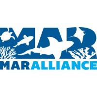 MarAlliance logo - Similar company to Cheetah Conservation Botswana