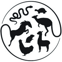 Metazoa logo - Similar company to Dgw Pharma Bv