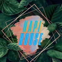 NapiHouse logo - Similar company to Tcs & Arcm