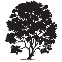 HLS Therapeutics Inc. logo - Similar company to Pharmatune