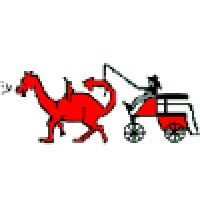Dragon Driving