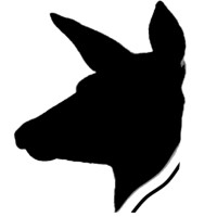 Deer Dynamics Ltd logo - Similar company to Dear Dynamics