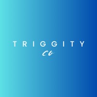 Triggity & Co.
