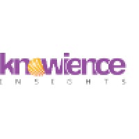 Knowience Insights logo - Similar company to 64Inspired Consulting