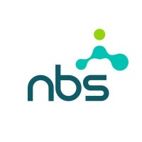 Nizami Business Solutions logo - Similar company to The Debuggers It Solutions
