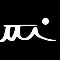 Bagutti Consulting logo - Similar company to Zebu Consulting