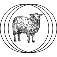 Det Vilde Spinderi logo - Similar company to Studiomagga
