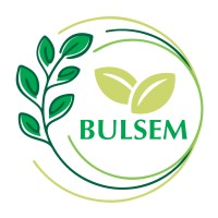BULSEM logo - Similar company to Bullstream