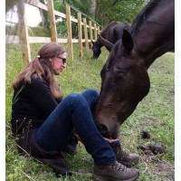 The Horse's Truth with Angela Dunning logo - Similar company to Seratel