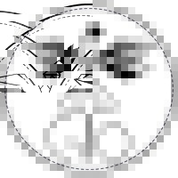 Gio Kidswear logo - Similar company to Paradigm Emissions Technologies, Inc.