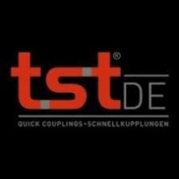 TST DE GmbH logo - Similar company to Icon Group Srl