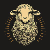 Spinning Yarn | visual communications agency logo - Similar company to Bseen Creative Agency, Llc
