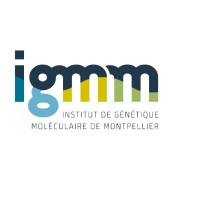 Institut de Génétique Moléculaire de Montpellier (IGMM) logo - Similar company to Laboratoire De Chimie Moléculaire Lcm