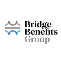 Bridge Benefits Group logo - Similar company to Krantz Secure Technologies