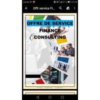 FINANCE CONSULTING SERVICE logo - Similar company to E-Zimbabwe