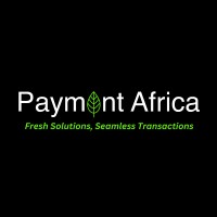 Paymint Africa logo - Similar company to Digital Flash Agro Innovations Limited