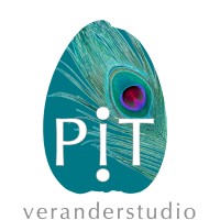 PIT veranderstudio logo - Similar company to Streamline Solutions B.V.