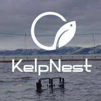 KelpNest AS logo - Similar company to Connect App®️