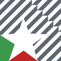 STELLINI S.R.L. logo - Similar company to Plasticino Srl