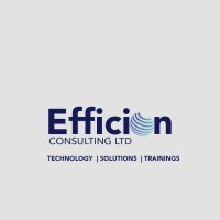 Efficion Consulting LTD logo - Similar company to Vircap Llc