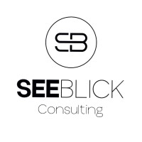 SEEblick TCS GmbH logo - Similar company to Mkw Group