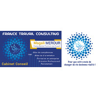 FRANCE TRAVAIL CONSULTING logo - Similar company to France Travail Ventures