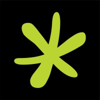 Studio Nova logo - Similar company to Studio P+P