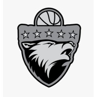 Dominant Basketball Academy logo - Similar company to Beyond Basketball