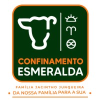Confinamento Esmeralda logo - Similar company to Grupo Alvorada