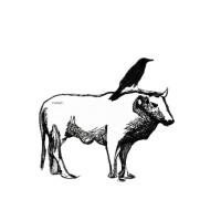 Vanox logo - Similar company to Distill Energy