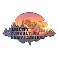 Agility Consulting Services, Inc. (SDVOSB) logo - Similar company to Advanced Self Storage