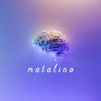 Matalino logo - Similar company to Dynamics Corner