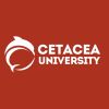 Cetacea University logo - Similar company to Faktacom