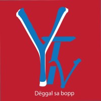 Y TV logo - Similar company to Ytv Botswana