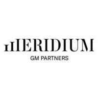 Meridium GM Partners logo - Similar company to Bluemarble