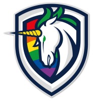 Boston Pride Hockey logo - Similar company to Ripple - Physical Therapy - Boston