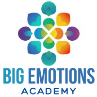 Big Emotions Academy logo - Similar company to Mariposa Trails Suicide Prevention Network Sa