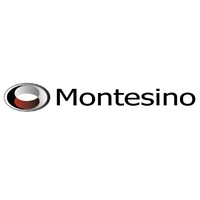 Montesino Associates logo - Similar company to Sdcentrum