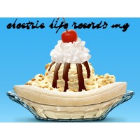 Electric Life Records MG