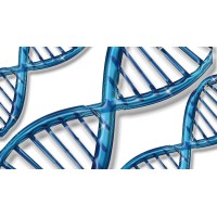 Genelink Biosciences, Inc