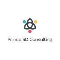Prince SD Consulting logo - Similar company to Devstrée