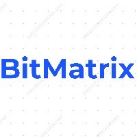BITMATRIX SERVICES INC. logo - Similar company to Bitmatrix It Solutions