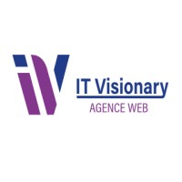 IT Visionary logo - Similar company to Wass Technologies
