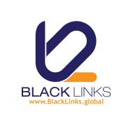 BLACK LINKS GLOBAL logo - Similar company to The Skills For Life Trust