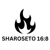 Sharoseto 16:8 logo - Similar company to Cloud On Pc