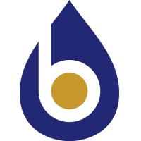 Bonanza Mineral Partners, LLC logo - Similar company to Osage Resources Llc