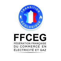 FFCEG - Fédération Française du Commerce en Électricité et Gaz logo - Similar company to Trade Énergies Marque Commerciale De Pro Synergik