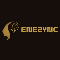 Enezync logo - Similar company to Ipc Solutions