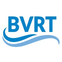 BVRT Utility Holding Company logo - Similar company to The It Utility Company