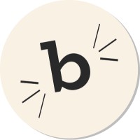 Blink logo - Similar company to Bolbaas